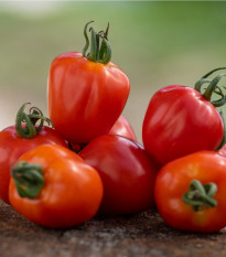 Rajče Jahodo - Solanum lycopersicum - semena rajčete - 25 ks