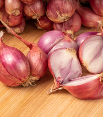 Cibule šalotka červená Sante - Allium cepa - cibulky - 500 g