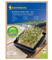 Mikrozelenina - microgreen - náhradní pláty bio hořčice - 3 ks