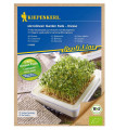 Mikrozelenina - microgreen - náhradní pláty bio řeřichy - 3 ks