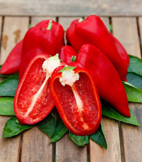 Paprika Snacking Red - Capsicum annuum - semena papriky - 5 ks