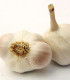 Sadbový česnek Japo II - Allium sativum - nepaličák - cibule česneku - 1 balení