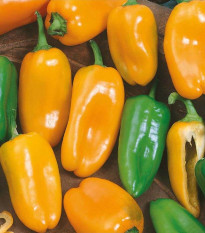 Paprika roční Hamík - Capsicum annuum - semena papriky - 20 ks