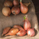 Cibule sazečka Birnformige - Allium cepa - cibulky - 250 g