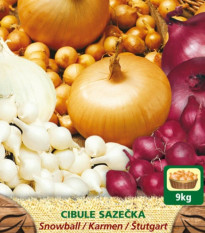 Směs sazeček - Snowball, Karmen, Štutgart - Allium cepa - 150 g