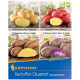 Sadbové brambory - 4 druhy- Solanum tuberosum - 12 ks
