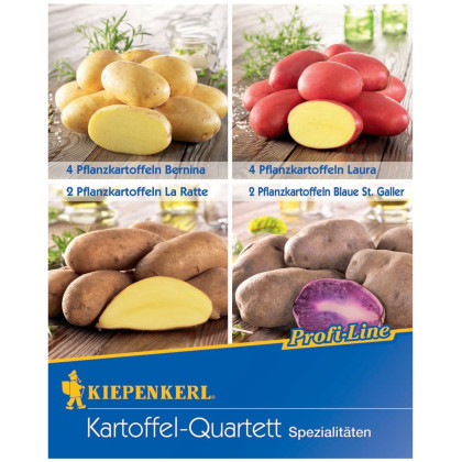 Sadbové brambory - 4 druhy- Solanum tuberosum - 12 ks