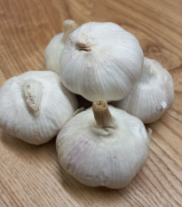 Sadbový česnek jarní Garpek - Allium - paličák - cibule česneku - 1 balení