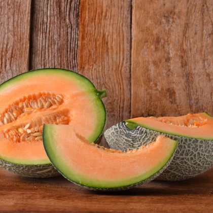 Meloun Cantaloupe - Cucumis melo - semena - 5 ks