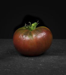 Rajče Černý muž - Solanum lycopersicum - semena rajčete - 6 ks