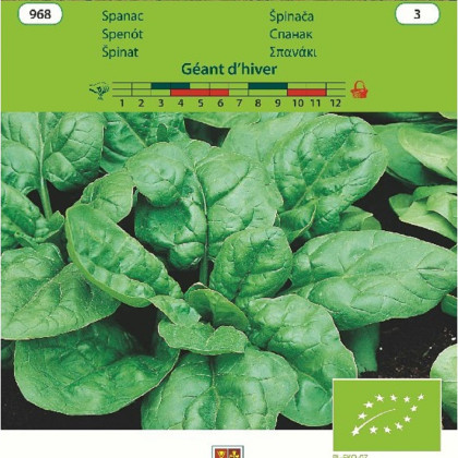 BIO Špenát Geant d'hiver- Spinacea oleracea - bio semena - 10 g
