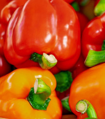 Paprika Babybell červená - Capsicum annuum - semena papriky - 8 ks