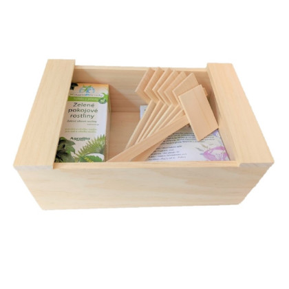 Krabička dřevěná - uzavíratelný box - 1 ks