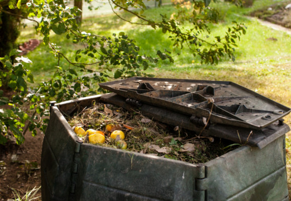 Vyrobte si vlastní hnojivo, zbavíte se spousty zahradního i kuchyňského odpadu