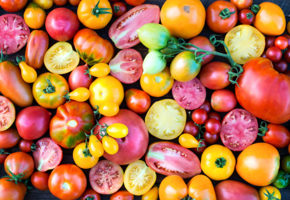 Vypěstujte si rozmanitost - novinky semen rajčat letošní sezóny